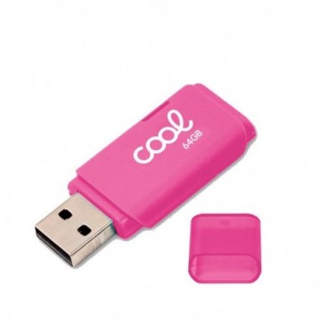 PEN DRIVE USB X64 GB 2.0...