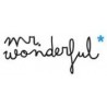 Mr Wonderfull